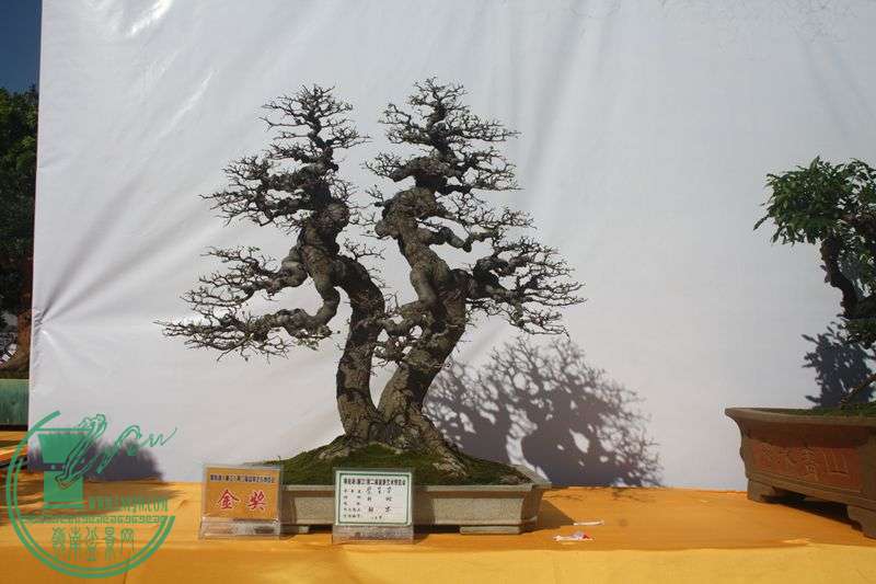 Ƭ20131026ۺ 318.jpg