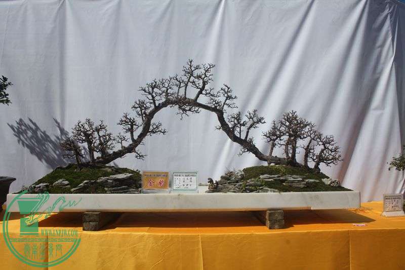 Ƭ20131026ۺ 042.jpg