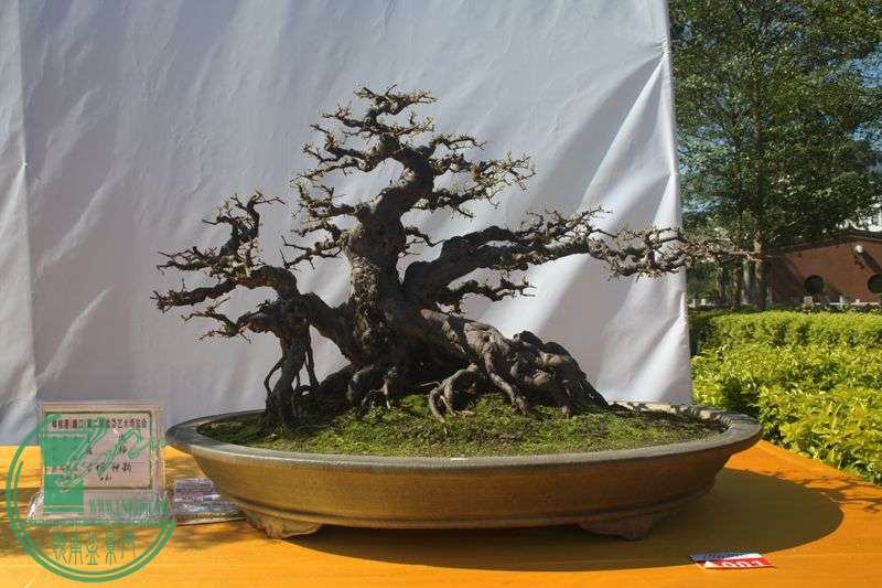 Ƭ20131026ۺ 053.jpg