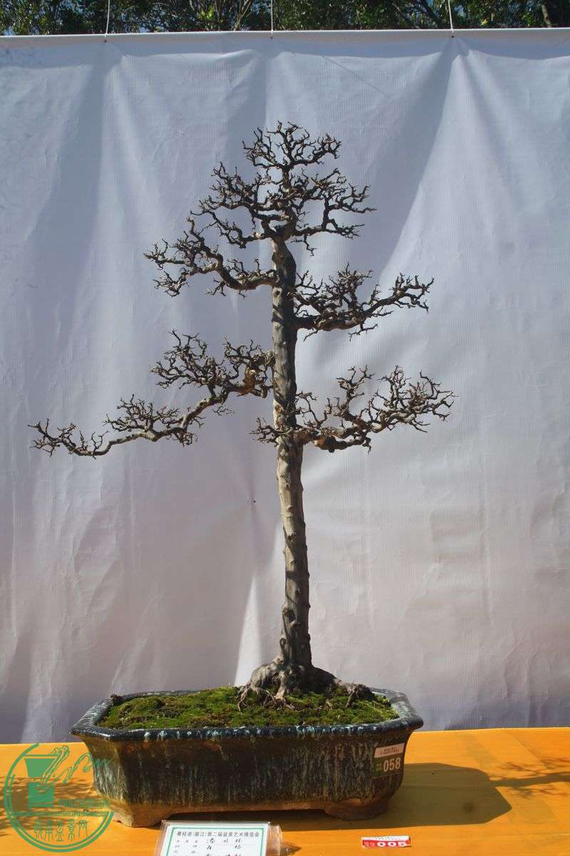 Ƭ20131026ۺ 052.jpg