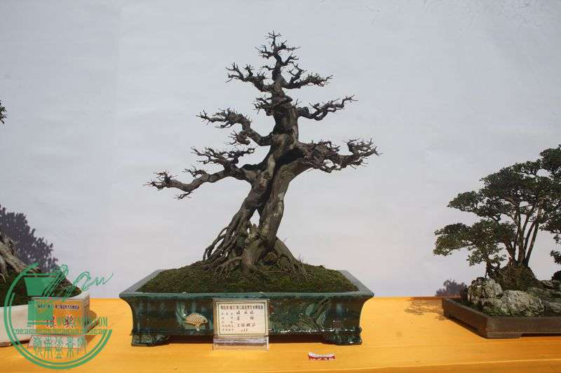 Ƭ20131026ۺ 066.jpg