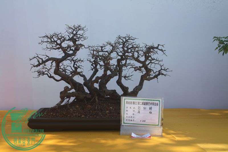 Ƭ20131026ۺ 087.jpg