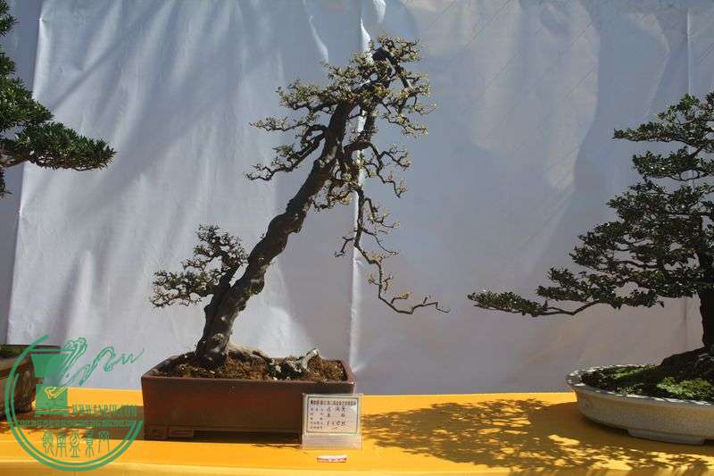 Ƭ20131026ۺ 141.jpg