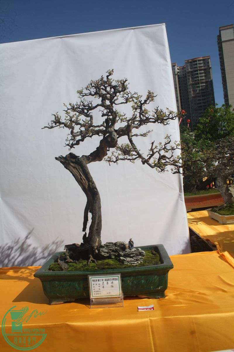Ƭ20131026ۺ 223.jpg