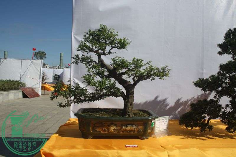 Ƭ20131026ۺ 231.jpg