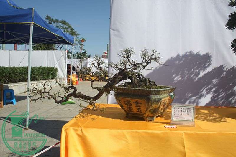 Ƭ20131026ۺ 243.jpg