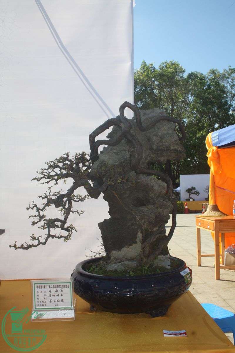 Ƭ20131026ۺ 281.jpg