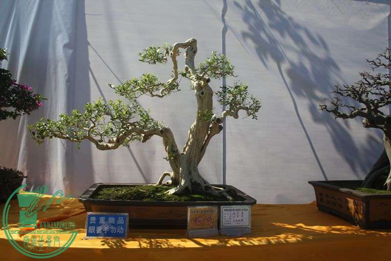 Ƭ20131026ۺ 031.jpg