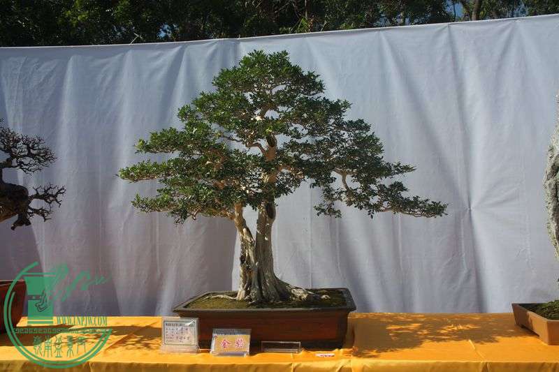 Ƭ20131026ۺ 041.jpg