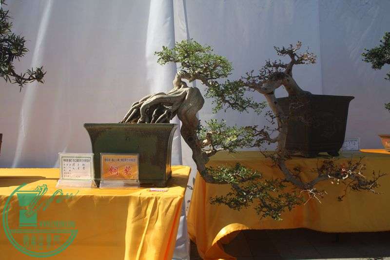Ƭ20131026ۺ 048.jpg