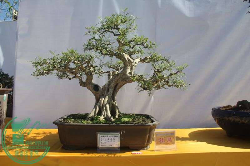 Ƭ20131026ۺ 135.jpg