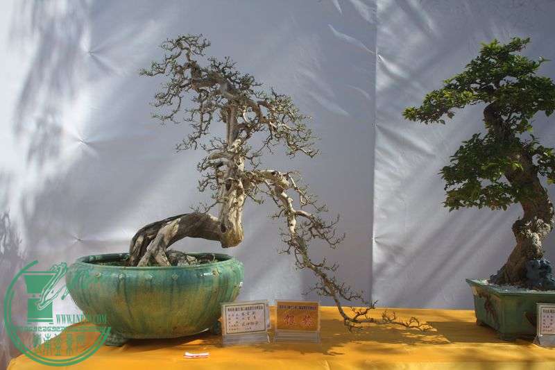 Ƭ20131026ۺ 139.jpg