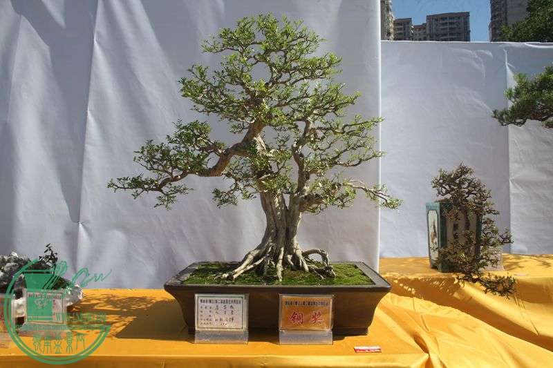 Ƭ20131026ۺ 147.jpg