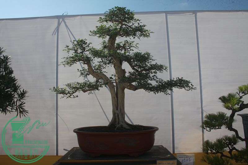 Ƭ20131026ۺ 277.jpg