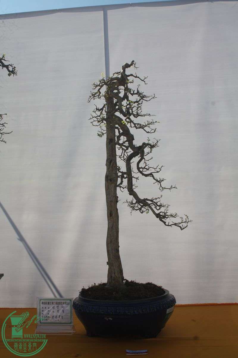 Ƭ20131026ۺ 286.jpg