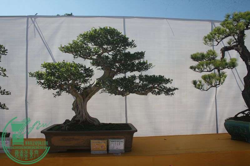 Ƭ20131026ۺ 306.jpg