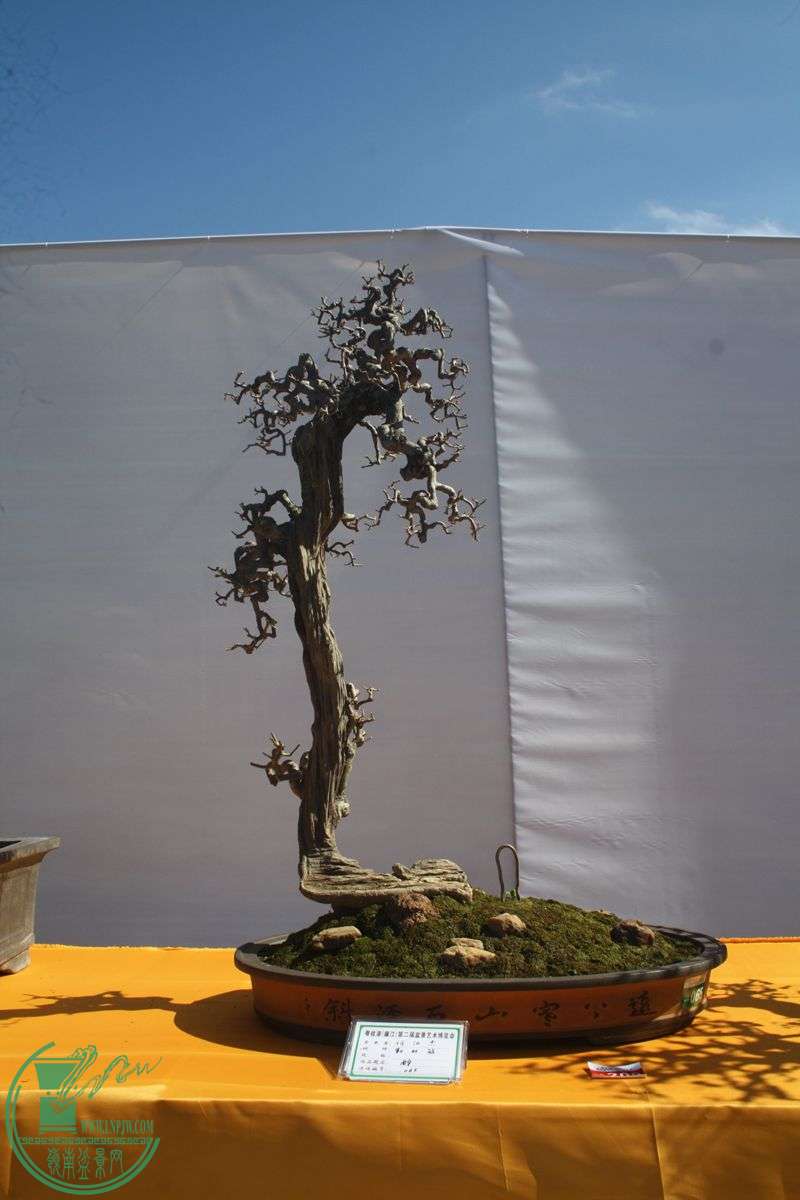 Ƭ20131026ۺ 058.jpg