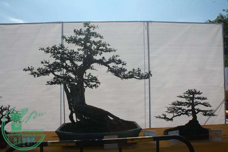 Ƭ20131026ۺ 075.jpg