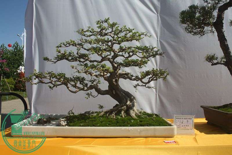 Ƭ20131026ۺ 103.jpg