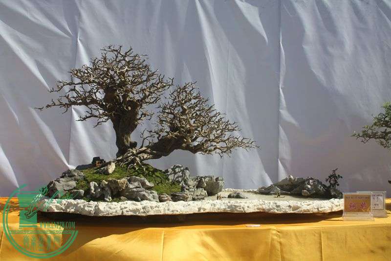 Ƭ20131026ۺ 148.jpg