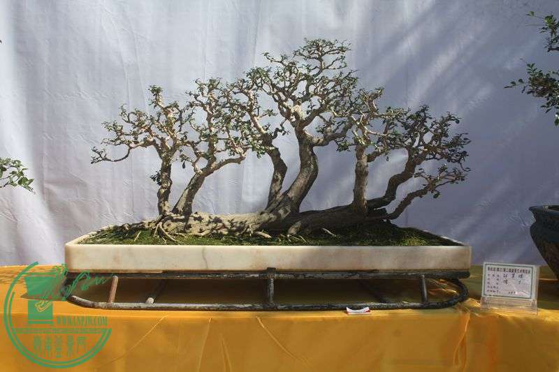 Ƭ20131026ۺ 176.jpg