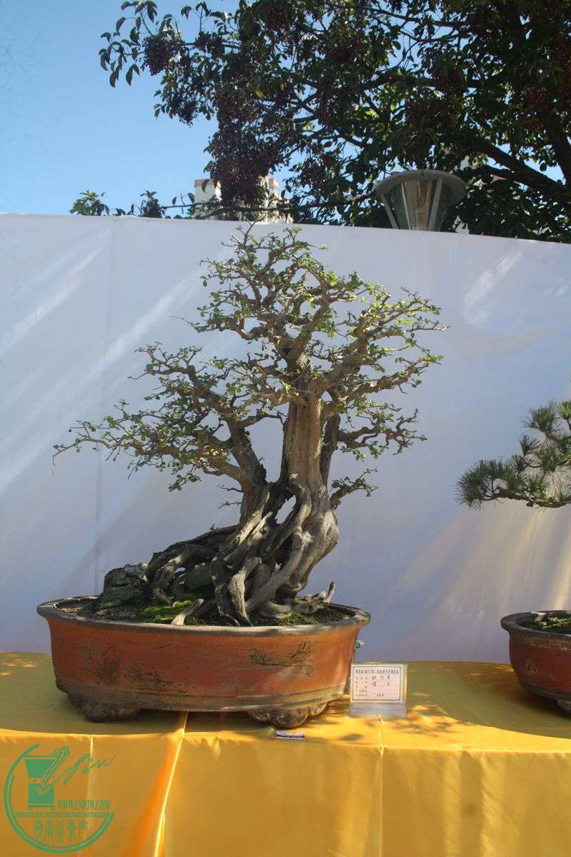 Ƭ20131026ۺ 178.jpg