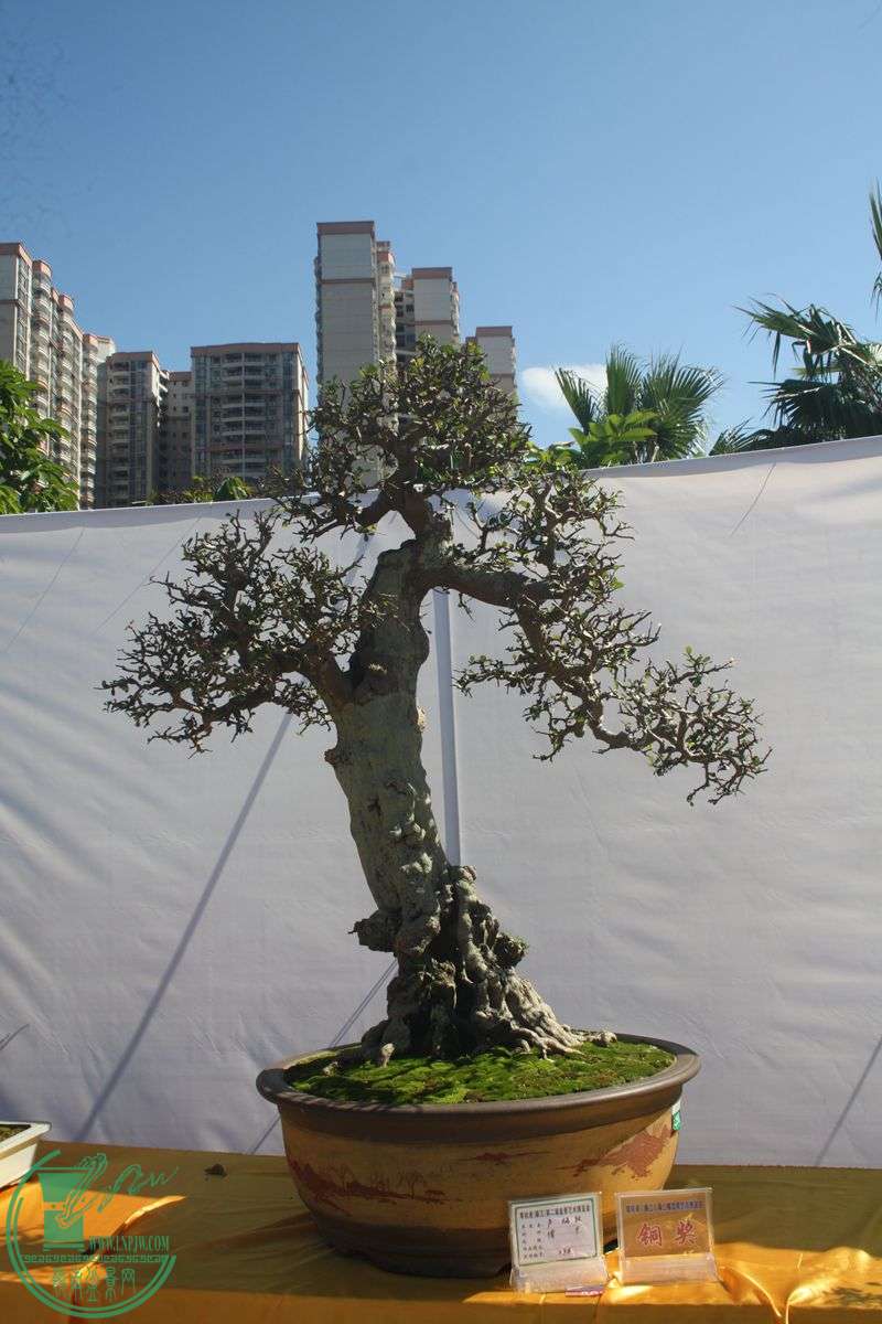 Ƭ20131026ۺ 184.jpg