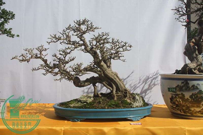 Ƭ20131026ۺ 233.jpg