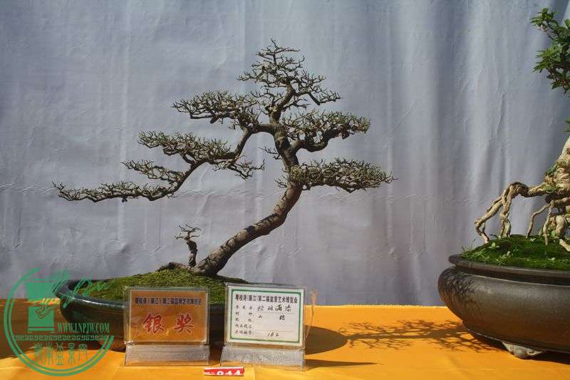 Ƭ20131026ۺ 023.jpg