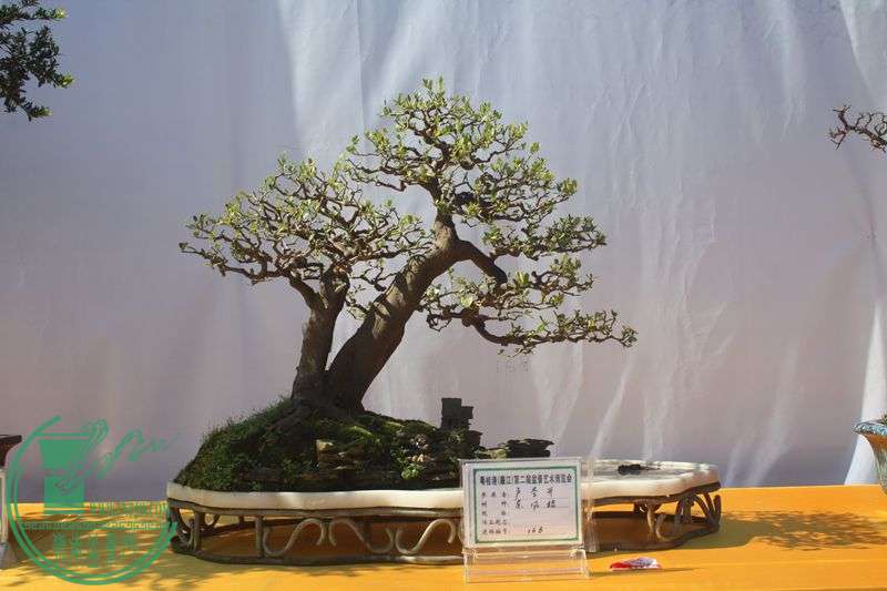 Ƭ20131026ۺ 051.jpg