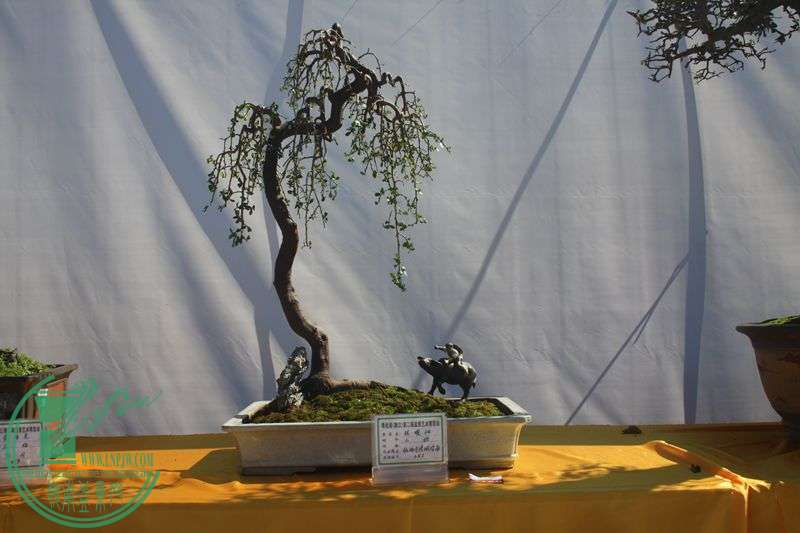 Ƭ20131026ۺ 183.jpg