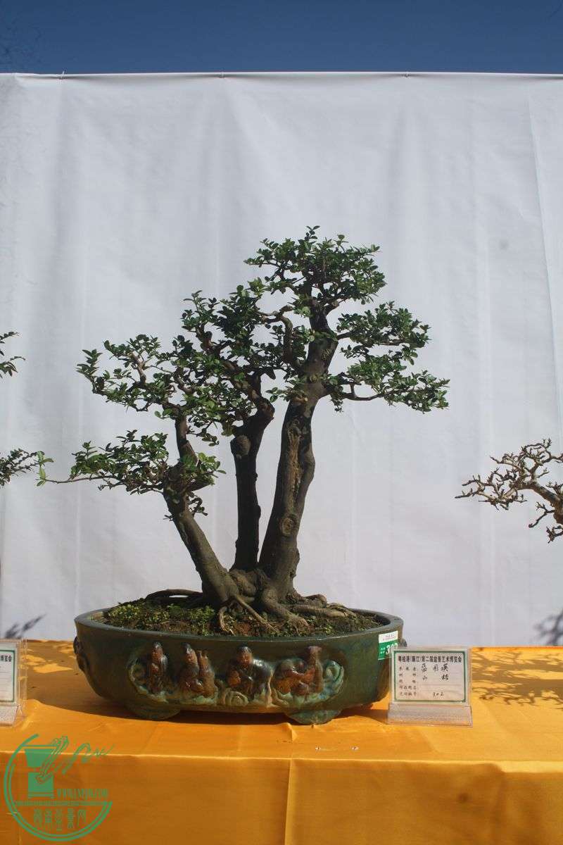 Ƭ20131026ۺ 235.jpg