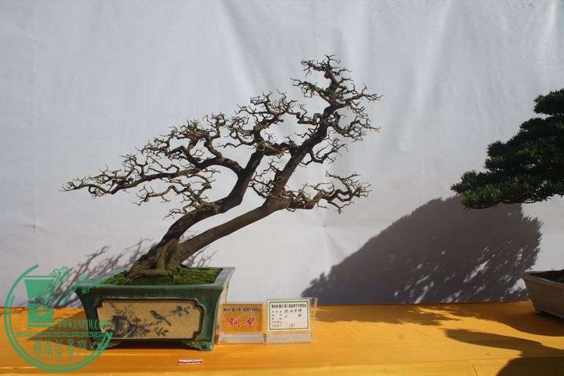 Ƭ20131026ۺ 334.jpg