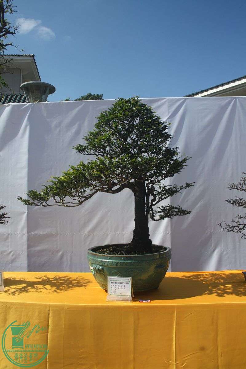 Ƭ20131026ۺ 015.jpg