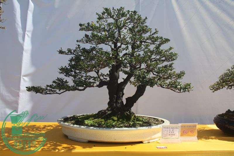 Ƭ20131026ۺ 142.jpg