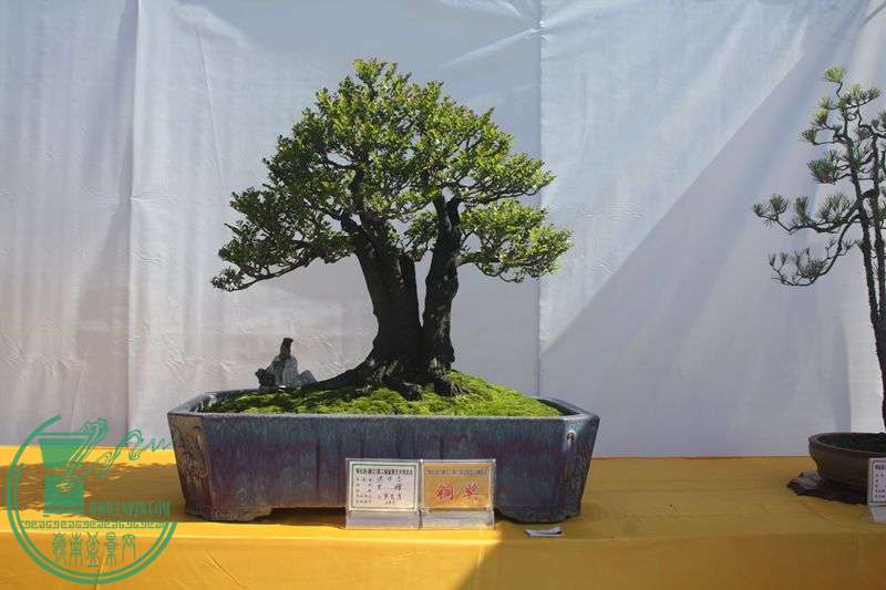 Ƭ20131026ۺ 161.jpg