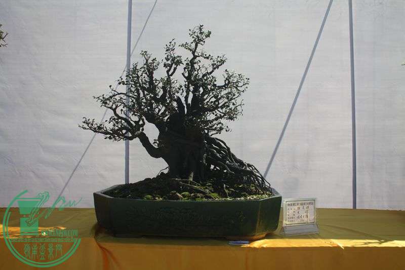 Ƭ20131026ۺ 185.jpg