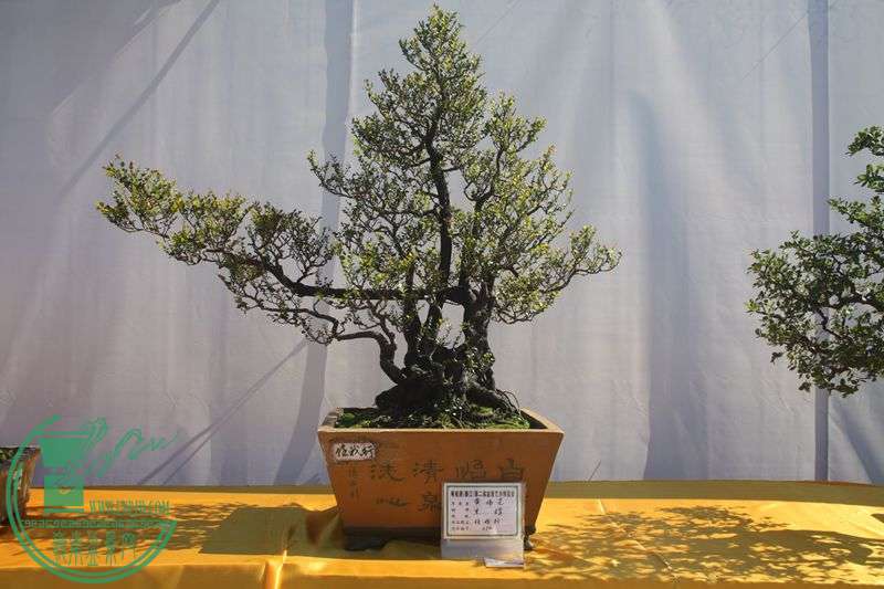 Ƭ20131026ۺ 181.jpg
