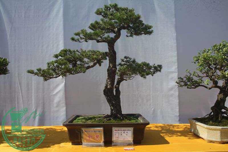 Ƭ20131026ۺ 019.jpg