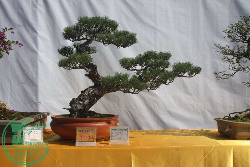 Ƭ20131026ۺ 174.jpg
