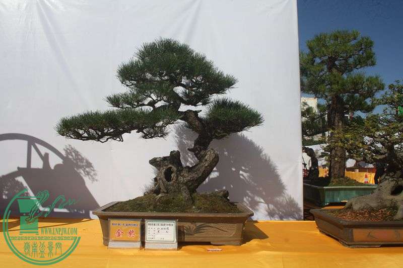 Ƭ20131026ۺ 312.jpg