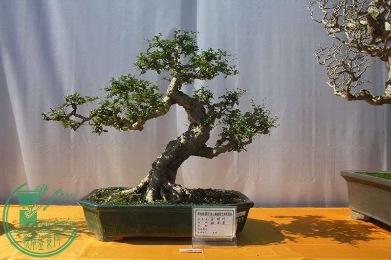 Ƭ20131026ۺ 025.jpg