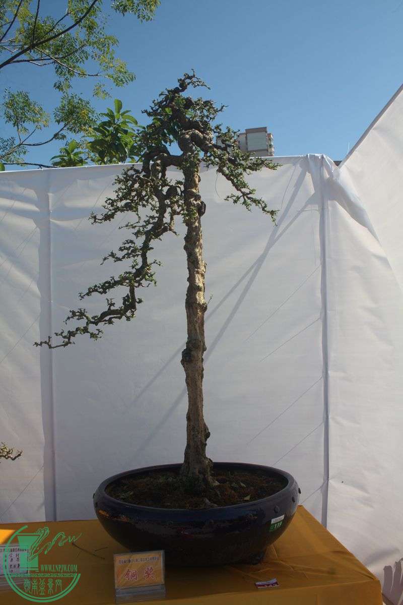 Ƭ20131026ۺ 144.jpg