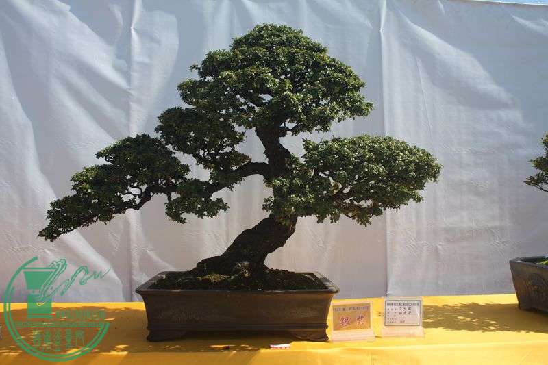 Ƭ20131026ۺ 160.jpg