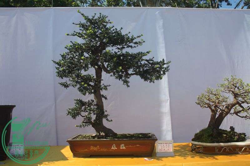 Ƭ20131026ۺ 050.jpg