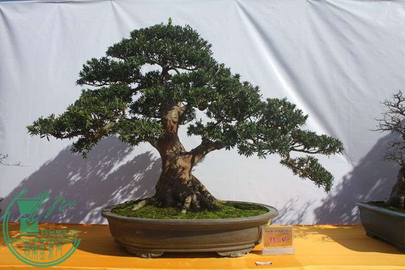 Ƭ20131026ۺ 242.jpg