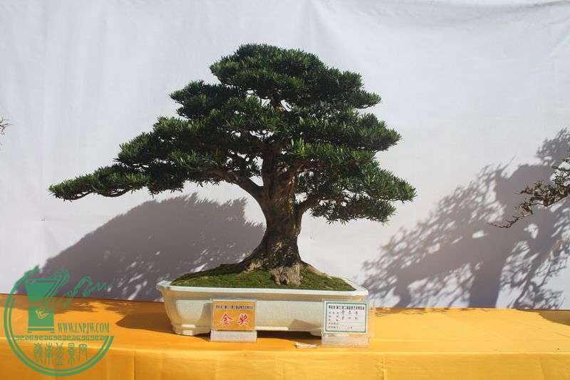 Ƭ20131026ۺ 335.jpg