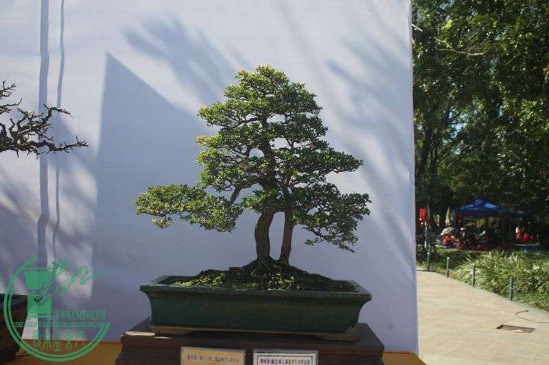 Ƭ20131026ۺ 034.jpg