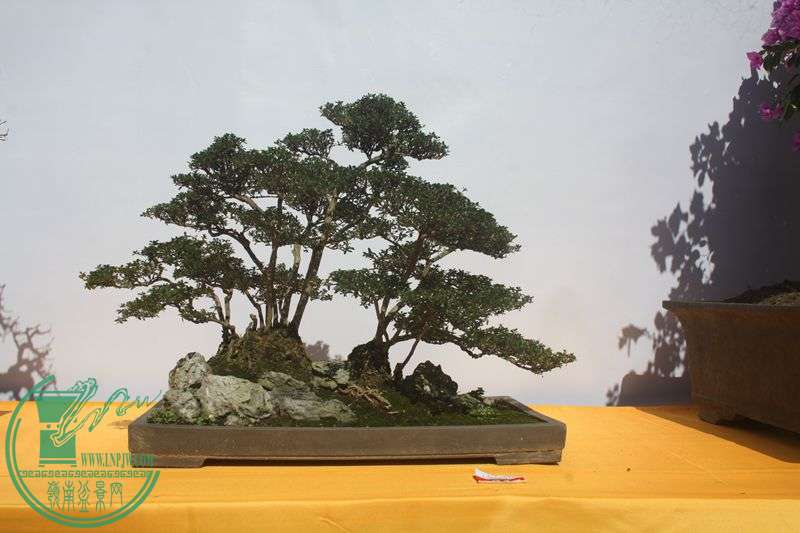 Ƭ20131026ۺ 067.jpg