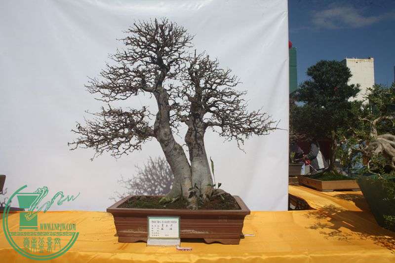 Ƭ20131026ۺ 095.jpg